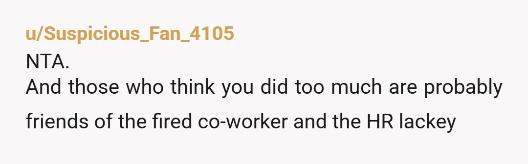 u/Suspicious_Fan_4105 NTA. And those who think you did too much are probably friends of the fired co-worker and the HR lackey