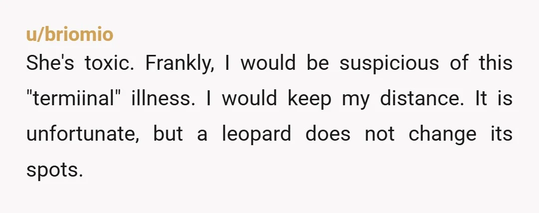 u/briomio
She's toxic. Frankly, I would be suspicious of this "termiinal" illness. I would keep my distance. It is unfortunate, but a leopard does not change its spots.