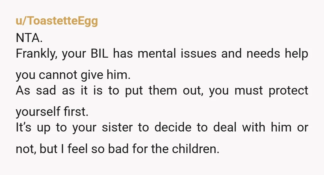 u/ToastetteEgg NTA. Frankly, your BIL has mental issues and needs help you cannot give him. As sad as it is to put them out, you must protect yourself first. It’s...