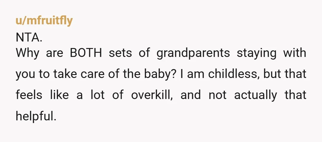 u/mfruitfly NTA. Why are BOTH sets of grandparents staying with you to take care of the baby? I am childless, but that feels like a lot of overkill, and not...