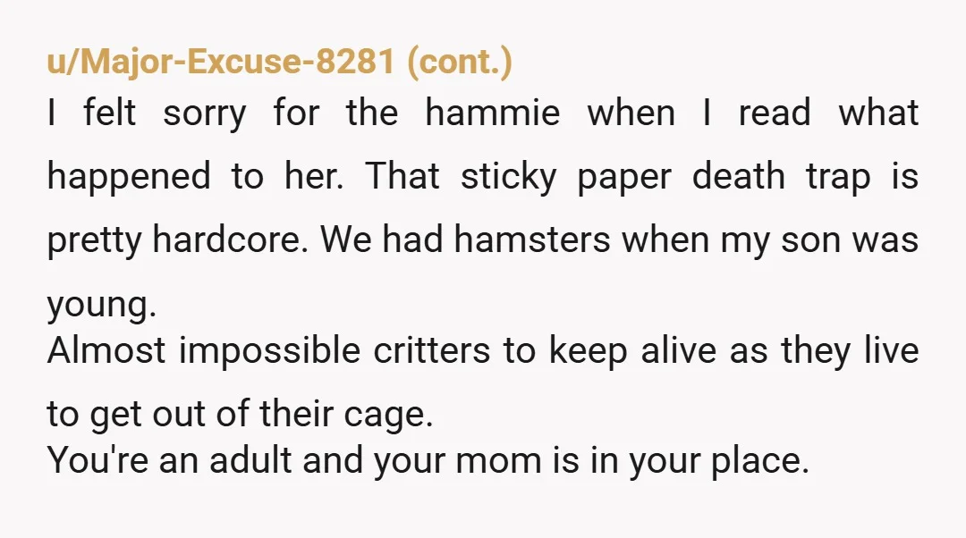 u/Purple_Paper_Bag NTA about your Hamster. I hope the little thing is all OK. I am concerned about your comments saying your Mother is dangerous when extremely angry. In your shoes,...
