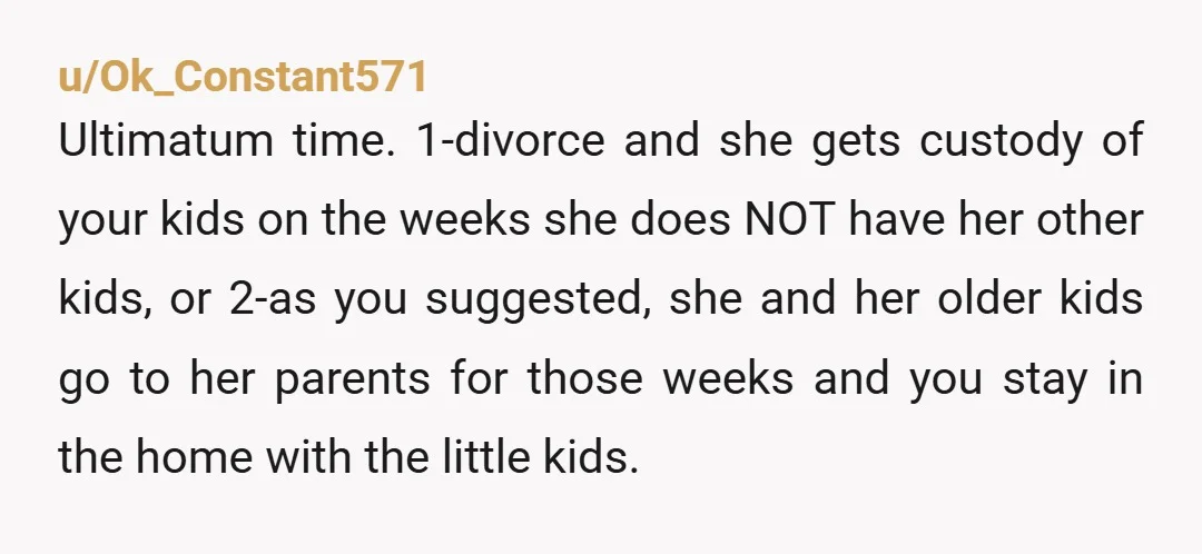 u/Ok_Constant571 Ultimatum time. 1-divorce and she gets custody of your kids on the weeks she does NOT have her other kids, or 2-as you suggested, she and her older kids...
