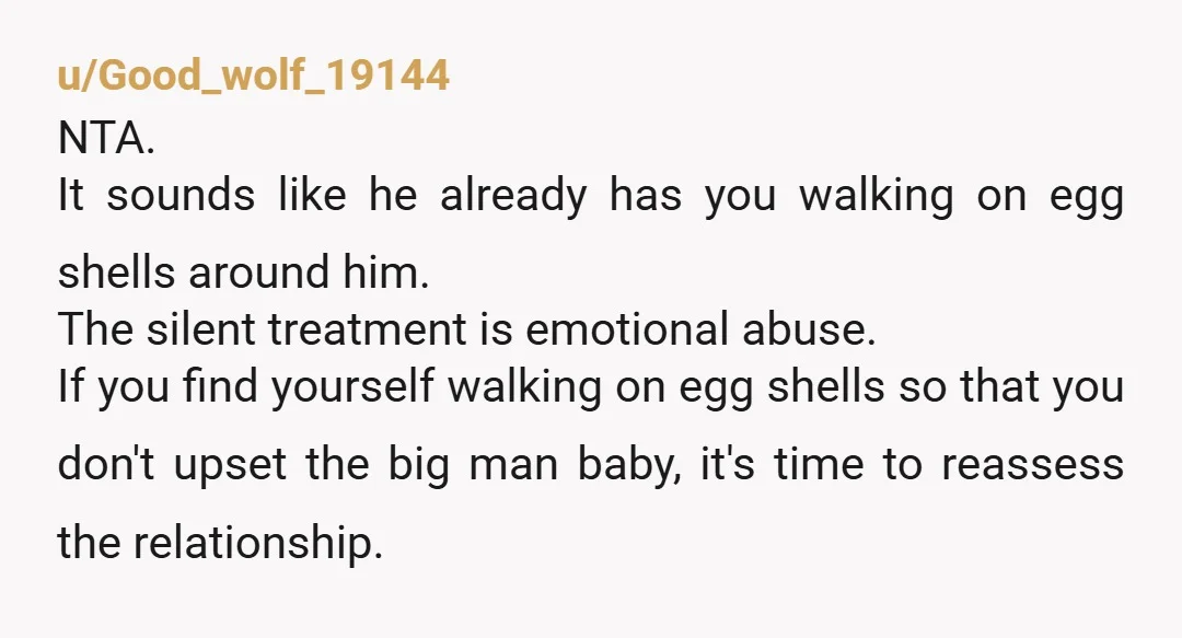 u/Good_wolf_19144 NTA. It sounds like he already has you walking on egg shells around him. The silent treatment is emotional abuse. If you find yourself walking on egg shells so...