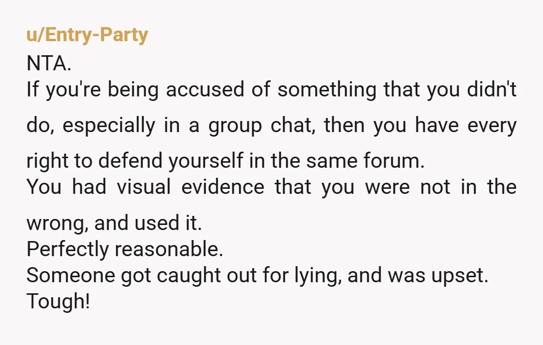 u/Resident-Method8260
NTA.
They were the one who chose the group chat as the forum for this discussion.
All you did was add context and help solve the mystery.