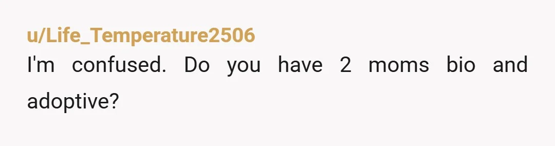 u/Life_Temperature2506
I'm confused. Do you have 2 moms  bio and adoptive?