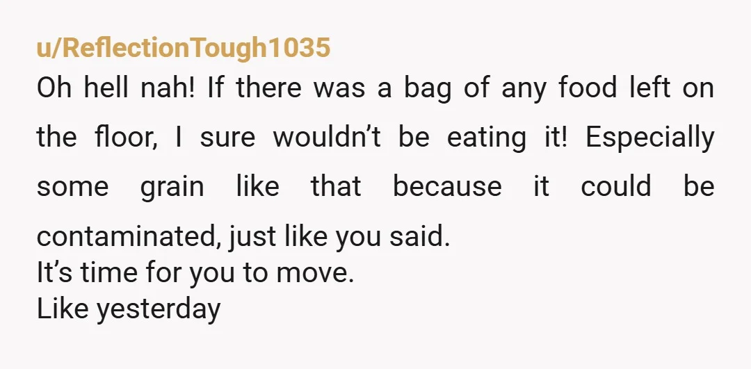 u/Interesting-End1710 NTA But you'll never get entitled thieves like these to admit they are anything but victims out loud. I'm reminded of an aita story where an OPs lunch was...