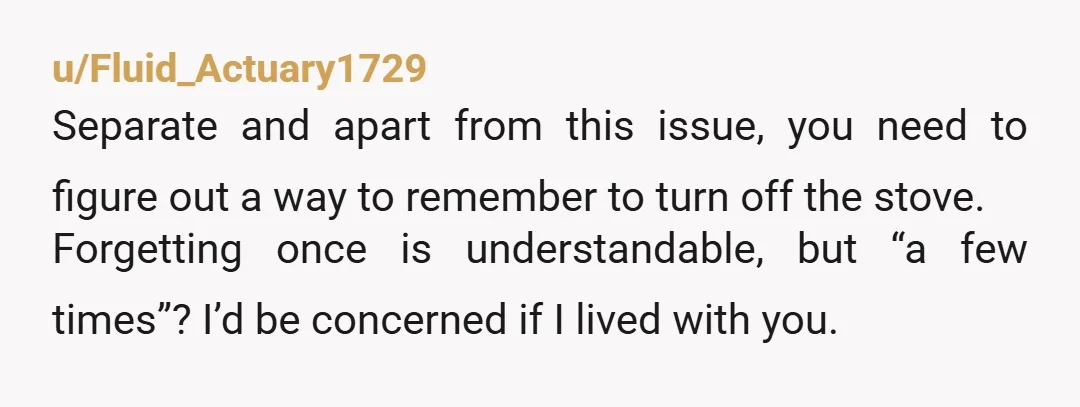 u/Fluid_Actuary1729 Separate and apart from this issue, you need to figure out a way to remember to turn off the stove. Forgetting once is understandable, but “a few times”?  I’d...