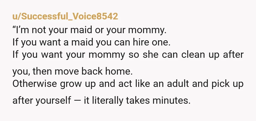 u/Successful_Voice8542 “I’m not your maid or your mommy. If you want a maid you can hire one. If you want your mommy so she can clean up after you, then...