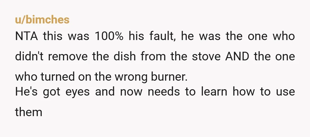 u/bimches NTA this was 100% his fault, he was the one who didn't remove the dish from the stove AND the one who turned on the wrong burner. He's got...