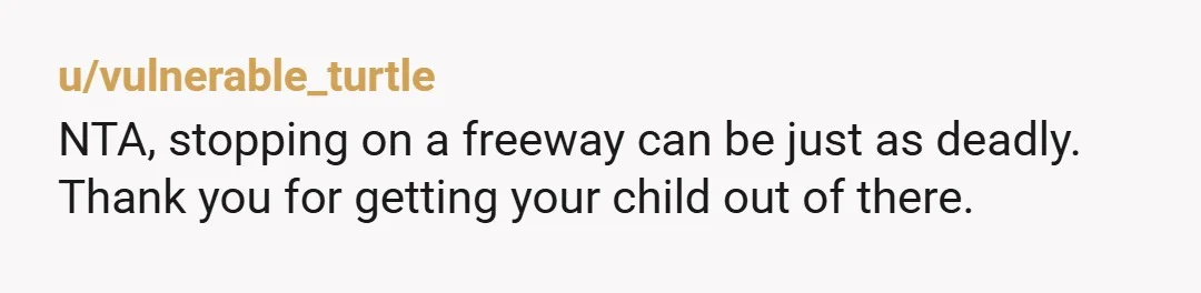 u/ToxDoc Stopping on the side of the road on a busy highway is very dangerous. It becomes even more dangerous for you to get out of your vehicle. This  is...