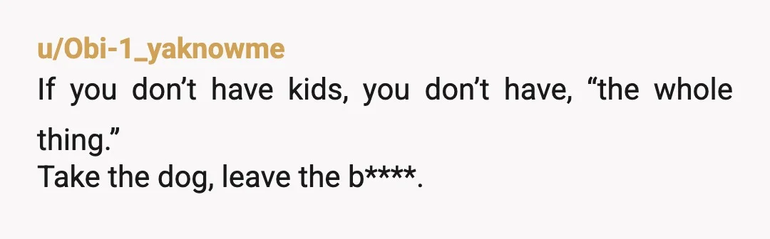 u/Obi-1_yaknowme
If you don’t have kids, you don’t have, “the whole thing.”
Take the dog, leave the b****.