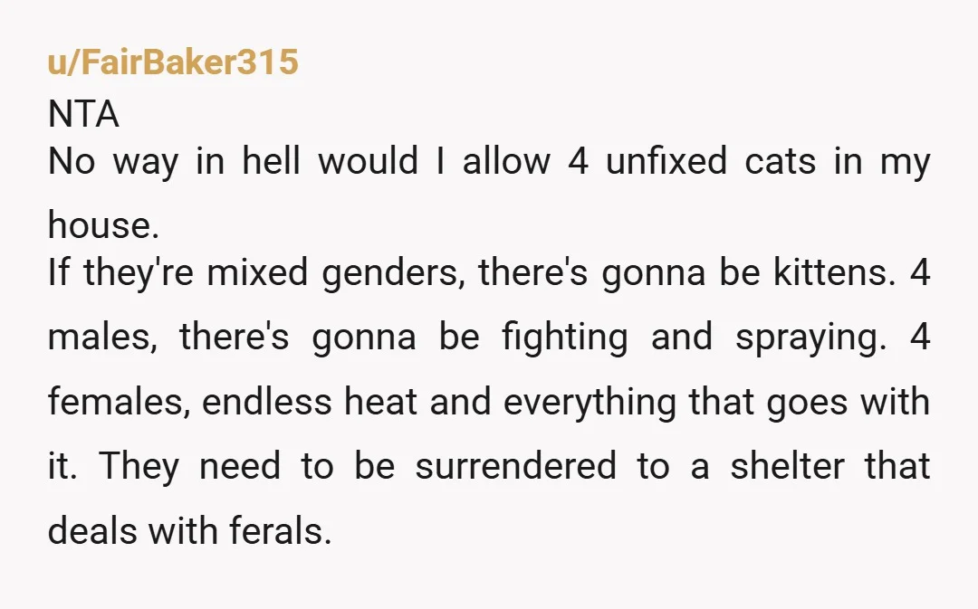 u/BrilliantBitter3149 Are you saying that you live in a rental? If so I can’t imagine that your land lord wants 2 additional adult tenants with an infant plus 4 feral...