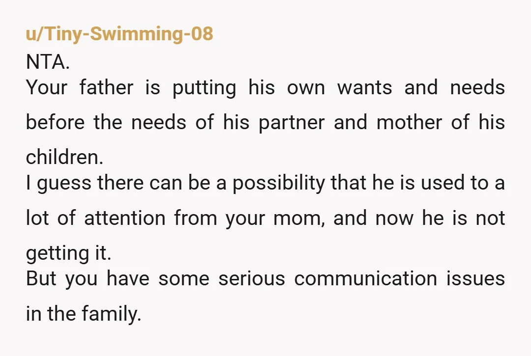 u/ClassicCommercial581 NTA, there are three issues here: one, your dad is abusive to your mother, and he is a selfish AH; two, your mother needs her own therapy because she...