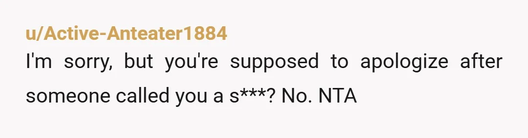 u/Diasies_inMyHair "I am sorry that I allowed your new GF to get under my skin with her snide commentary. I am sorry that I descended to her level and engaged....