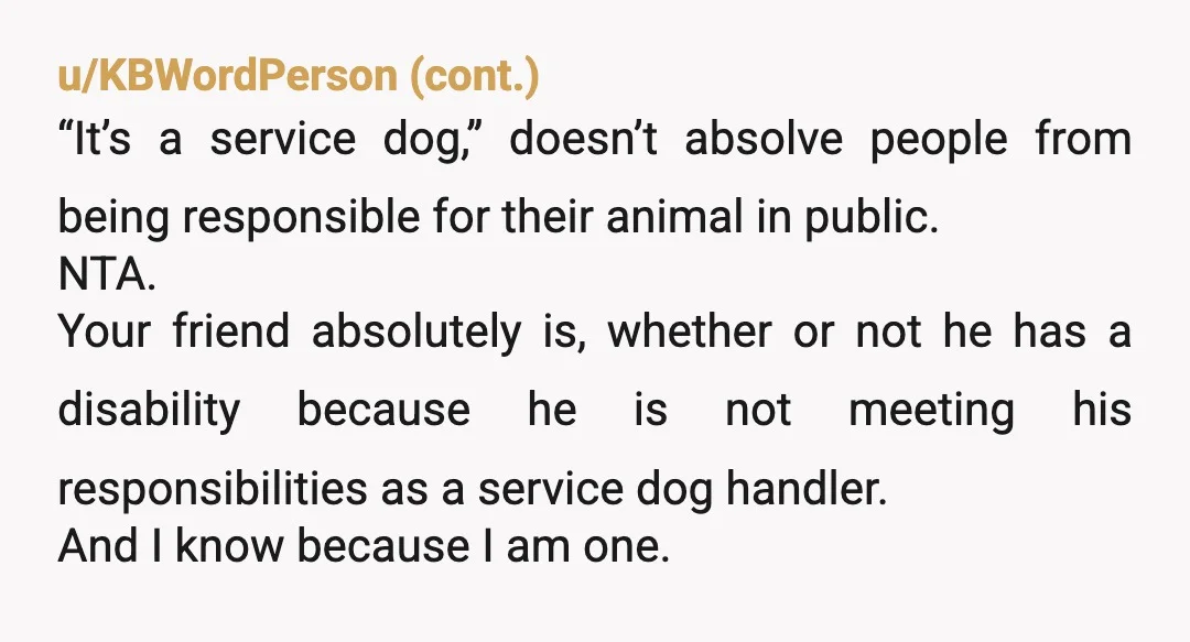u/One-Employee9235 I wish people would stop doing this. Service dogs are well-trained, polite, and have a specific job to do, which they take very seriously. They are a joy to...