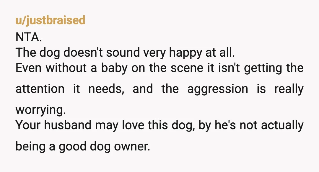 u/Wiscodoggo5494
ESH for adopting a high needs dog when you both have demanding jobs and likely knew you’d be expanding your family in the future.