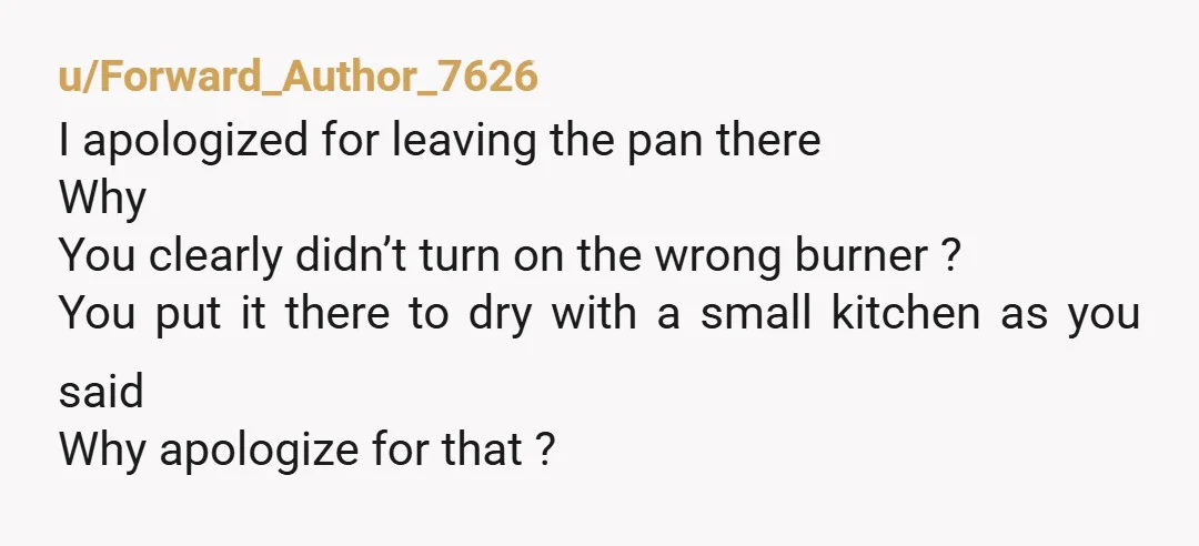 u/Forward_Author_7626 I apologized for leaving the pan there Why You clearly didn’t turn on the wrong burner ? You put it there to dry with a small kitchen as you...