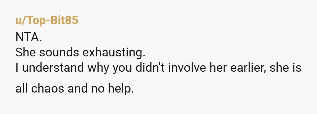u/Top-Bit85 NTA. She sounds exhausting. I understand why you didn't involve her earlier, she is all chaos and no help.