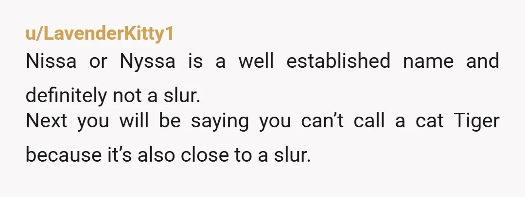 u/masterminor As a black man, that's not the word. At all. You're MIL and husband are CRAZY. When I saw that name I didn't think a slur for a black...