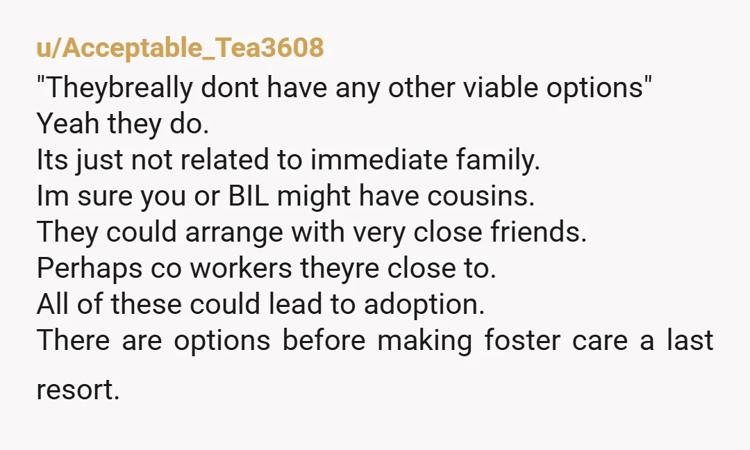 u/New-Lifeguard-9494 You are going to get a wide array of answers here. Plenty of people will tell you that you are a terrible human being for putting family into foster...