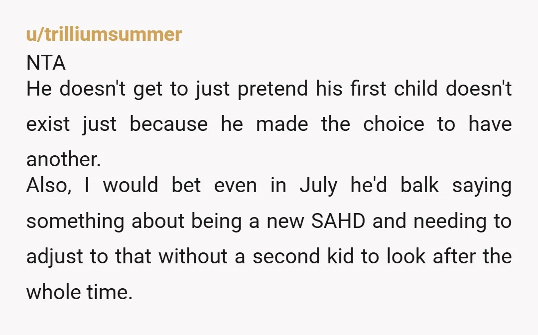 u/trilliumsummer NTA He doesn't get to just pretend his first child doesn't exist just because he made the choice to have another. Also, I would bet even in July he'd...
