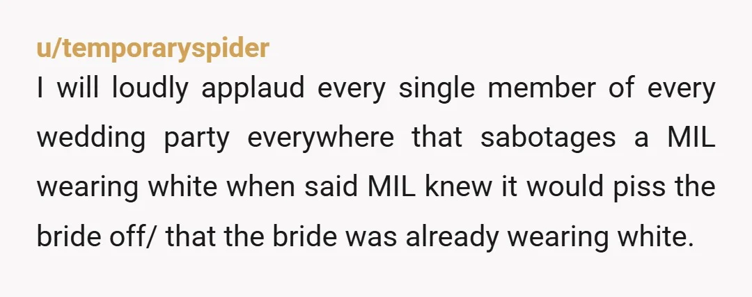 u/temporaryspider I will loudly applaud every single member of every wedding party everywhere that sabotages a MIL wearing white when said MIL knew it would piss the bride off/ that...