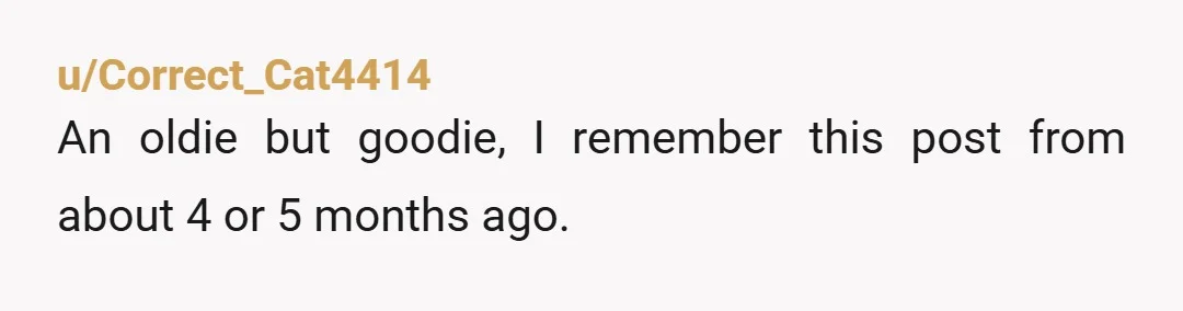 u/Correct_Cat4414 An oldie but goodie, I remember this post from about 4 or 5 months ago.