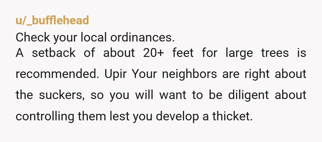 u/jadnich I have to say this is the most polite they could be. They have a valid argument, and they could either quietly seethe about it, create a huge fight...