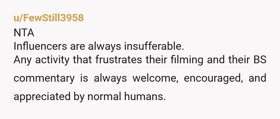 u/FewStill3958 NTA Influencers are always insufferable. Any activity that frustrates their filming and their BS commentary is always welcome, encouraged, and appreciated by normal humans.