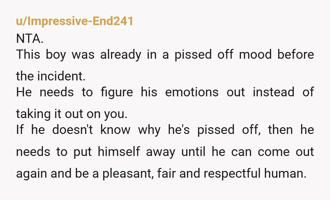 u/Impressive-End241 NTA. This boy was already in a pissed off mood before the incident. He needs to figure his emotions out instead of taking it out on you. If he...