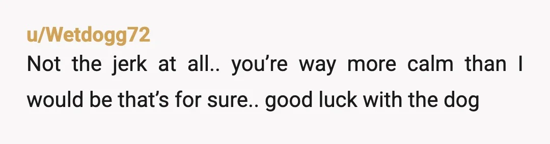 u/Wetdogg72
Not the jerk at all.. you’re way more calm than I would be that’s for sure.. good luck with the dog
