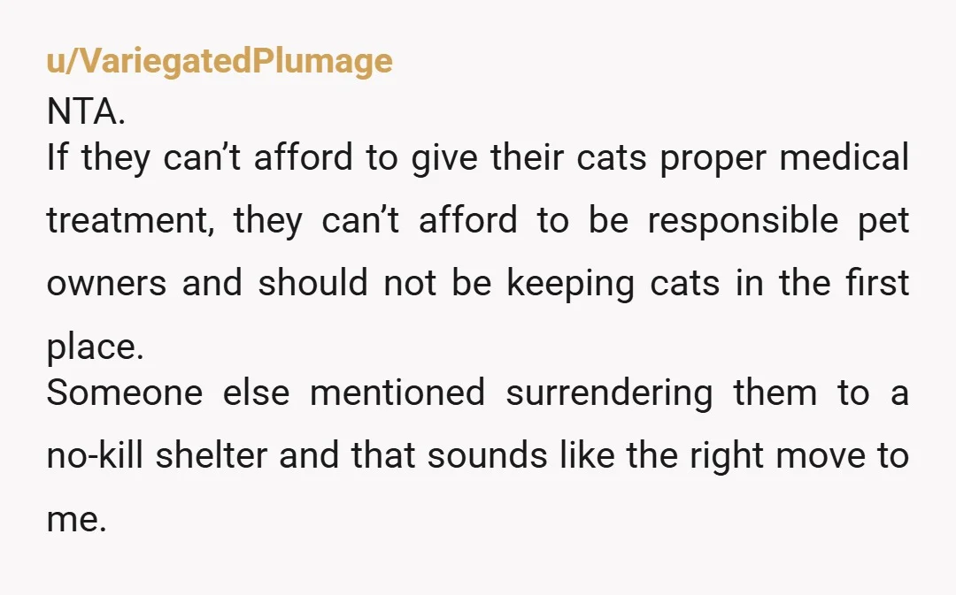 u/sophiekittybone
Your rental agreement probably addresses pets AND people living with you.
It was nice to offer, but no…