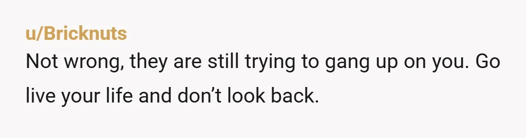 u/Minute-Safe2550
You did nothing wrong, aside from being used as a doormat for way too many years.
Dear fellow Millennial.
Enjoy your 40s, be Fabulous