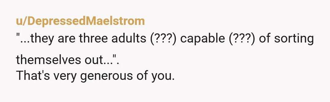 u/DepressedMaelstrom
"...they are three adults (???) capable (???) of sorting themselves out...". 
That's very generous of you. 