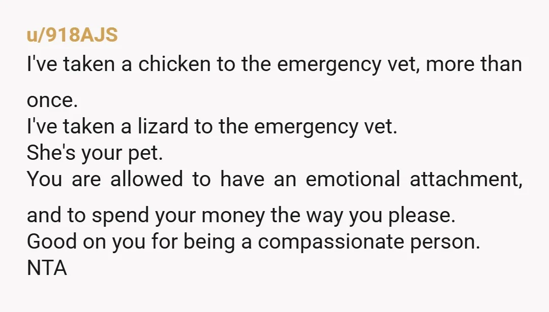 u/BendyTurtle Your mom can be “a bit dangerous when getting extremely angry”? I’m sure the vet staff would be quite happy you left her at home if they knew! I...