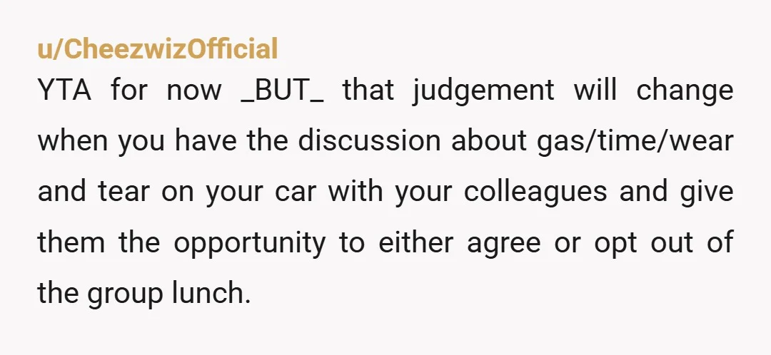 u/Old-Run-9523 YTA for not having your colleagues agree to this beforehand and for minimizing the amount you're profiting (especially if you are a team lead or supervisor). $8-10 per trip...