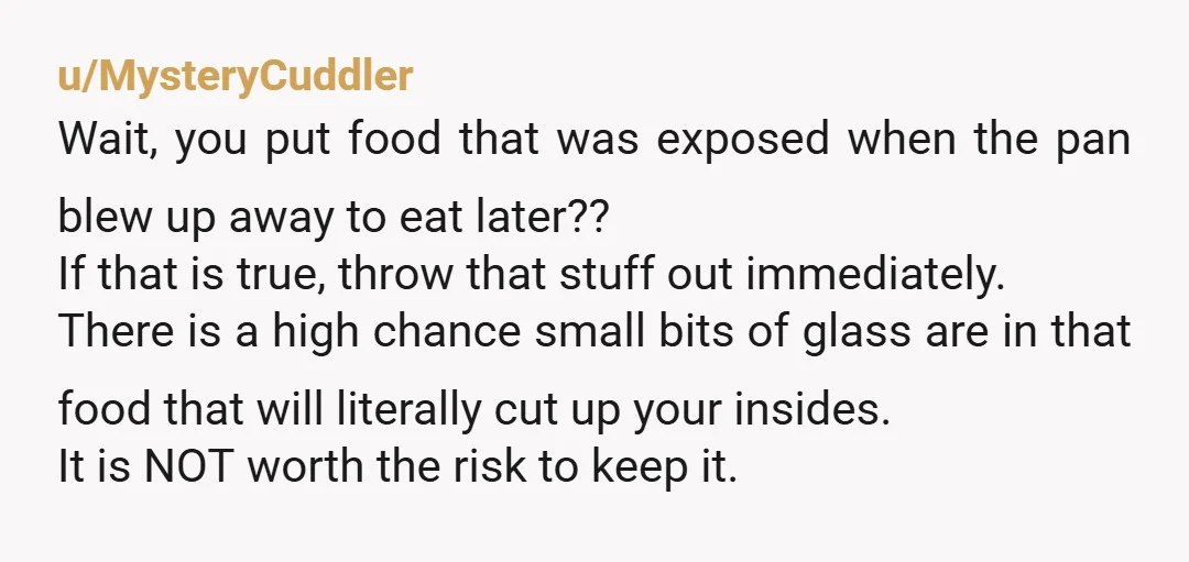 u/MysteryCuddler Wait, you put food that was exposed when the pan blew up away to eat later?? If that is true, throw that stuff out immediately. There is a high...