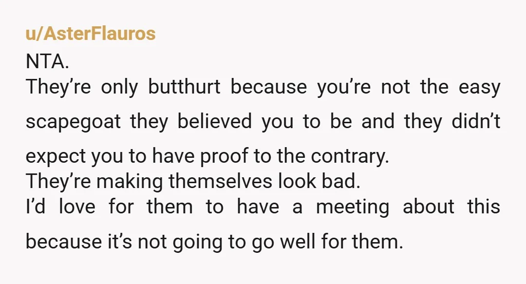 u/Alarming-Cheetah-144 NTA 💯 they’re just mad because you’re covering your ass and proving to them that you’re in fact fulfilling your obligations. And their accusations are hollow and without any...
