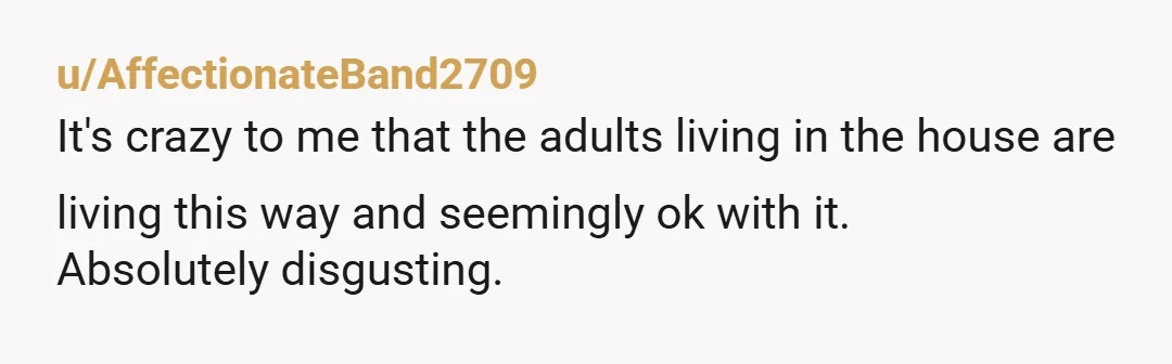 u/Ginger630 NTA! Thank you for calling the SPCA and keeping those dogs and your child safe.
