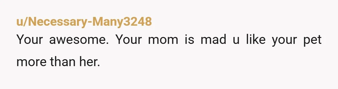 u/salvagemania NTA If you can afford the vet visit, then that's all that really matters. Why do your parents think that going to an emergency vet for your hamster is...