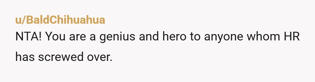 u/BaldChihuahua NTA! You are a genius and hero to anyone whom HR has screwed over.