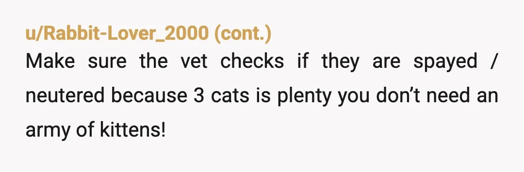 u/sophiekittybone
The cats are clearly the winners at YOUR HOUSE! 🏆🥰