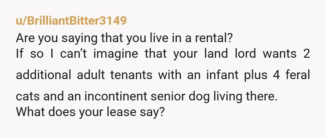 u/javlafan2 Are you living in your own home or a rental unit? If you are in a rental unit review your lease agreement. Most do not permit guests for more...