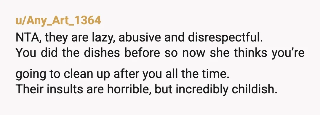 u/Tant_Dallas80 NTA. You’re not a live-in maid. If they want a communal chore system, that’s a conversation, not a demand followed by harassment. The second they started hurling personal insults...