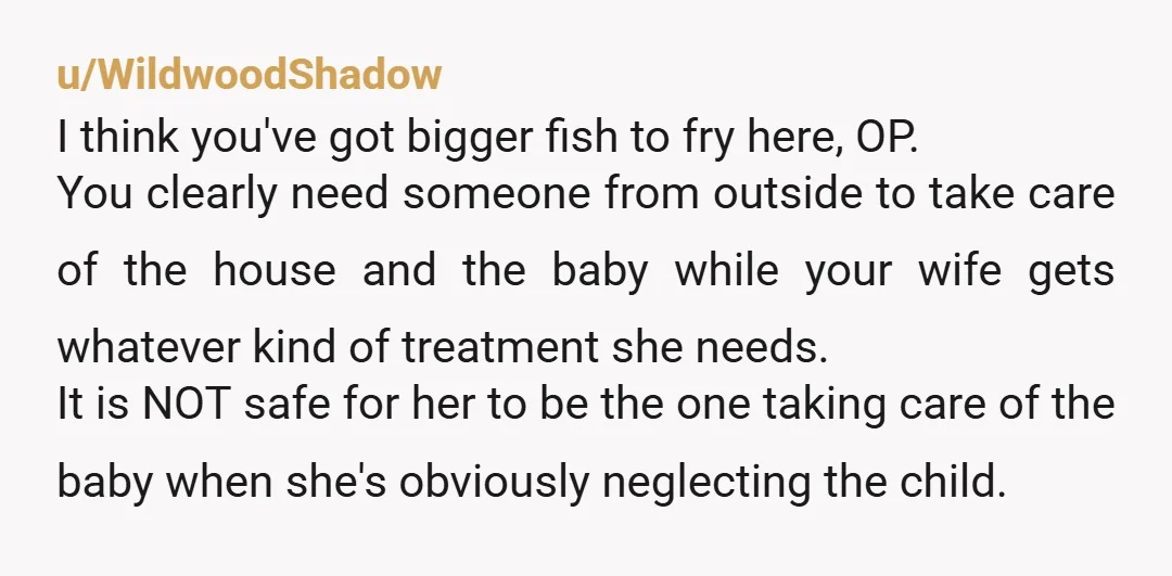 u/WildwoodShadow I think you've got bigger fish to fry here, OP. You clearly need someone from outside to take care of the house and the baby while your wife gets...