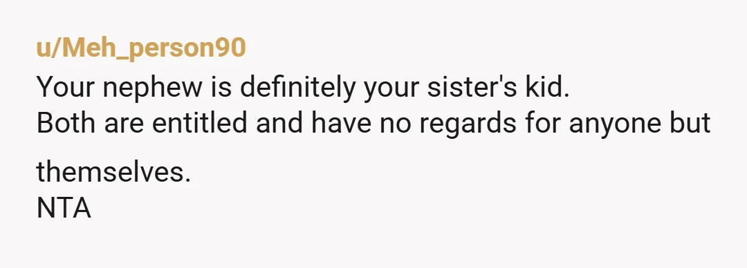 u/Meh_person90
Your nephew is definitely your sister's kid.
Both are entitled and have no regards for anyone but themselves.
NTA