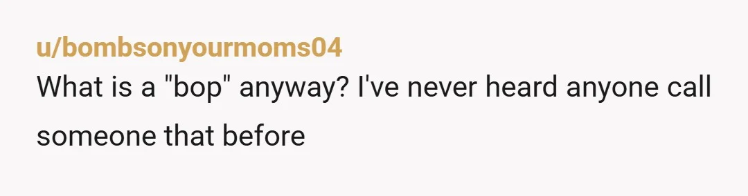 u/bombsonyourmoms04
What is a "bop" anyway? I've never heard anyone call someone that before