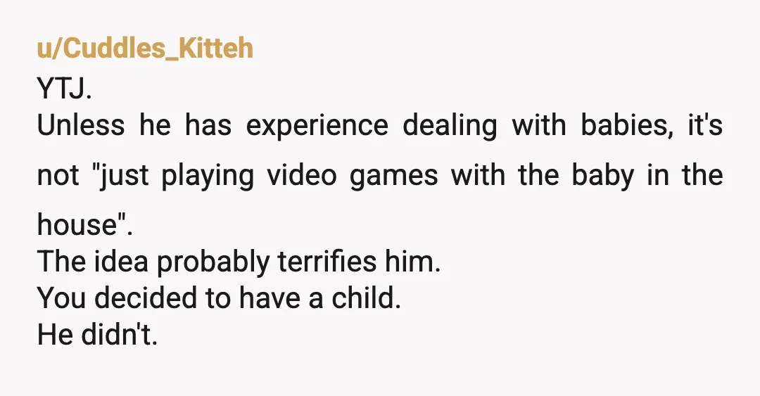 u/Designer_Thought2907
He didn't procreate, you did.
He could tell you to f off and THAT would still be a valid reason for not watching his nephews.