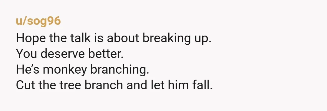 u/sog96
Hope the talk is about breaking up.
You deserve better.
He’s monkey branching.
Cut the tree branch and let him fall.