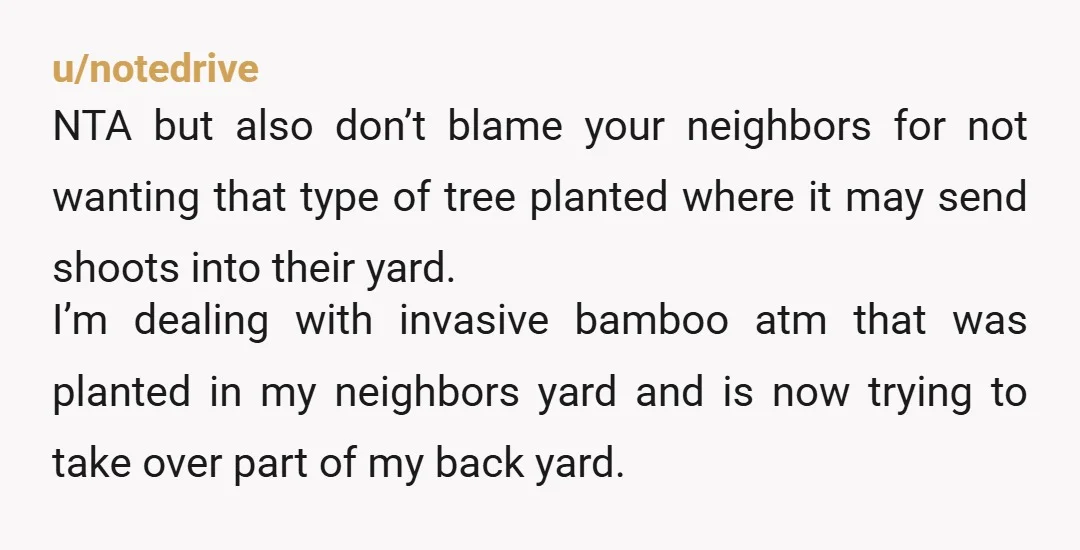 u/Sudden-Tell-5872
I would plant some tall bushes to keep them from looking in your yard.